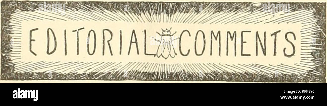 . American Bee Journal. La culture de l'abeille ; les abeilles. 408 American Bee Journal Juin 29, 1899. QEOROE W. YORK, éditeur. 'Gi&amp ; j'^^^^»^T o^ ^^1 ^^^s PUBLISHT HEBDOMADAIRE PAR 'George W. York &AMP ; Company, 116 Michigan St., Gliicago, III. Un dollar par année. fSf^ COPIE ÉCHANTILLON GRATUIT. [Entré sur le service des postes à Chicago comme officier Mail Sujet.] United States Bee-Keepers' Association. Org-anized à l'avance de la poursuite de l'Apiculture ; à promouvoir les intérêts des apiculteurs ; ? Pour protéger ses membres ; à preveut d'adultération de la houe.v ; et de poursuivre la houe malhonnête'-commission des hommes. A/enibers2PII jFee Banque D'Images