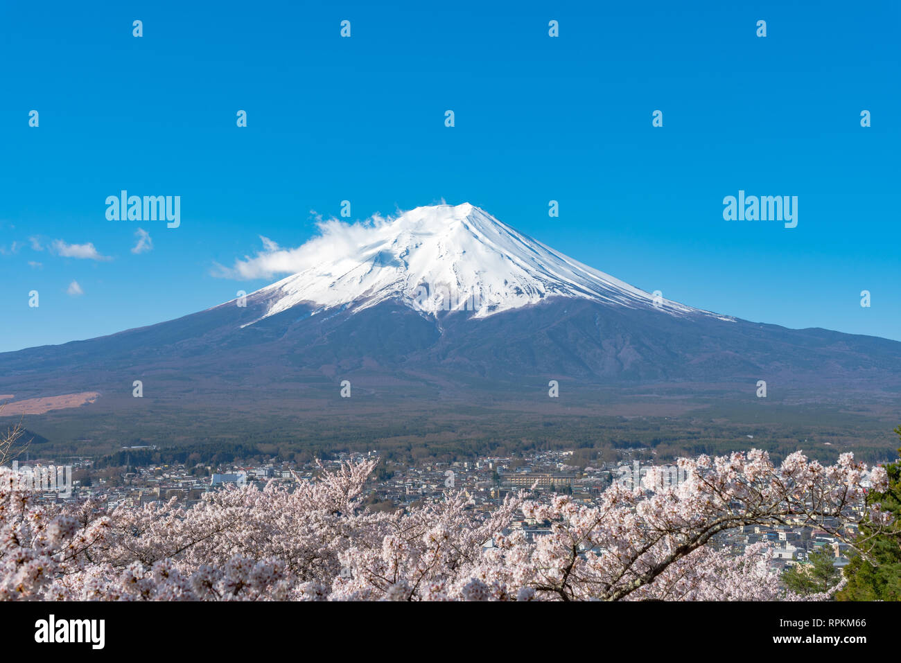 Débardeur Japonais Sakura - Imprimé Fleurs De Cerisier Et Mont Fuji - Hommage à La Culture Japonaise
