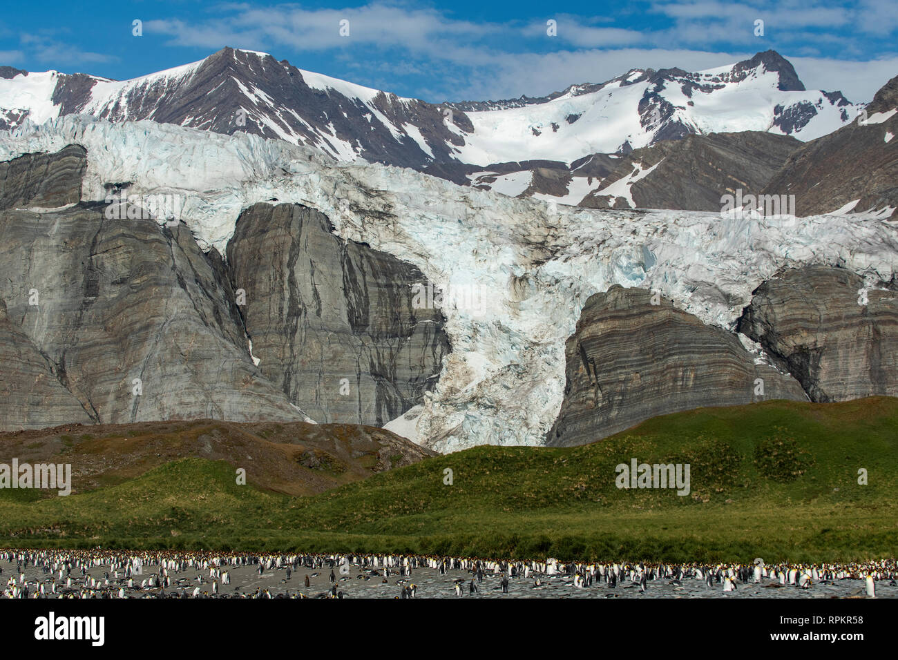 Glacier Bertrab, Gold Harbour, la Géorgie du Sud Banque D'Images