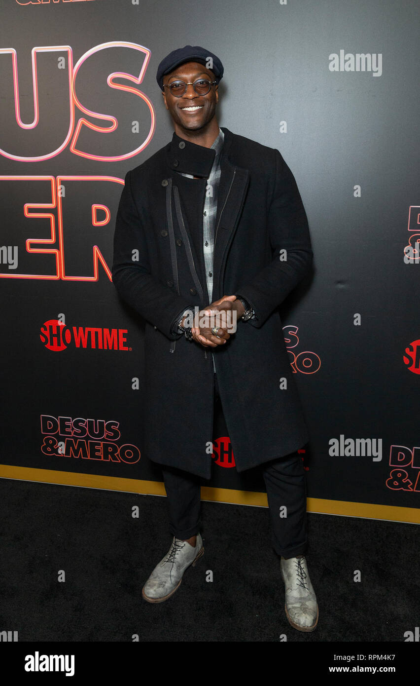 New York, États-Unis. Feb 21, 2019. Aldis Hodge assiste aux débuts de la série de Showtime Late-Night DESUS & MERO à l'horloge New York Edition Crédit : Lev Radin/Pacific Press/Alamy Live News Banque D'Images