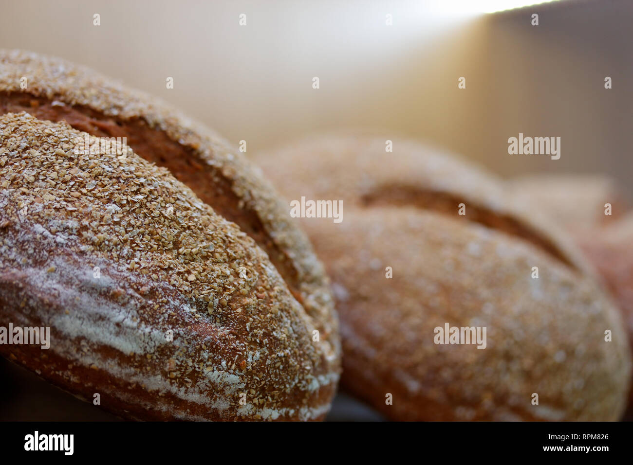 Grains entiers pain au levain traditionnel. Focus sélectif. Banque D'Images