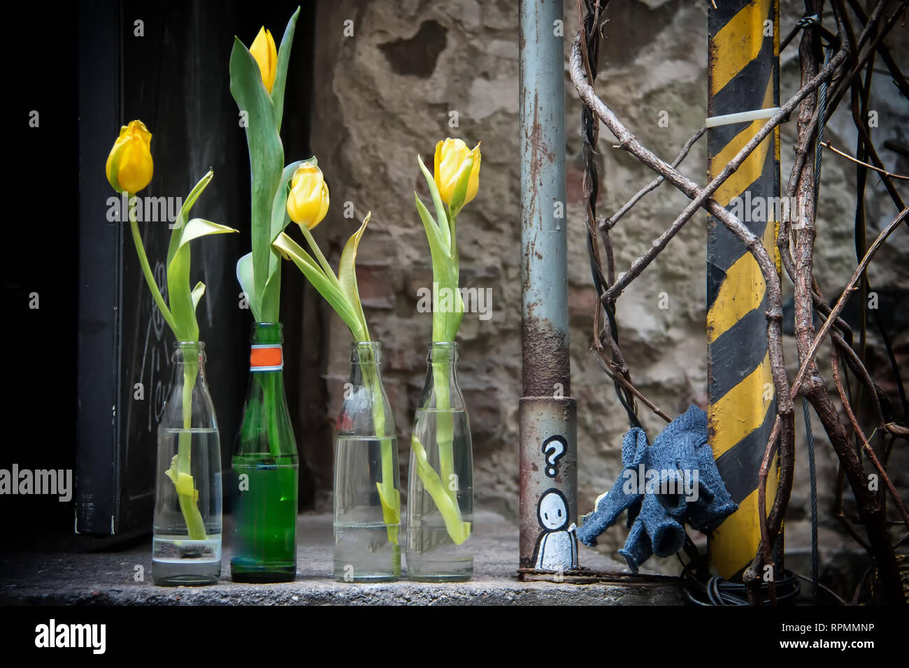 Des bouteilles remplies avec de l'eau avec des tulipes dans un jardin rustique Banque D'Images