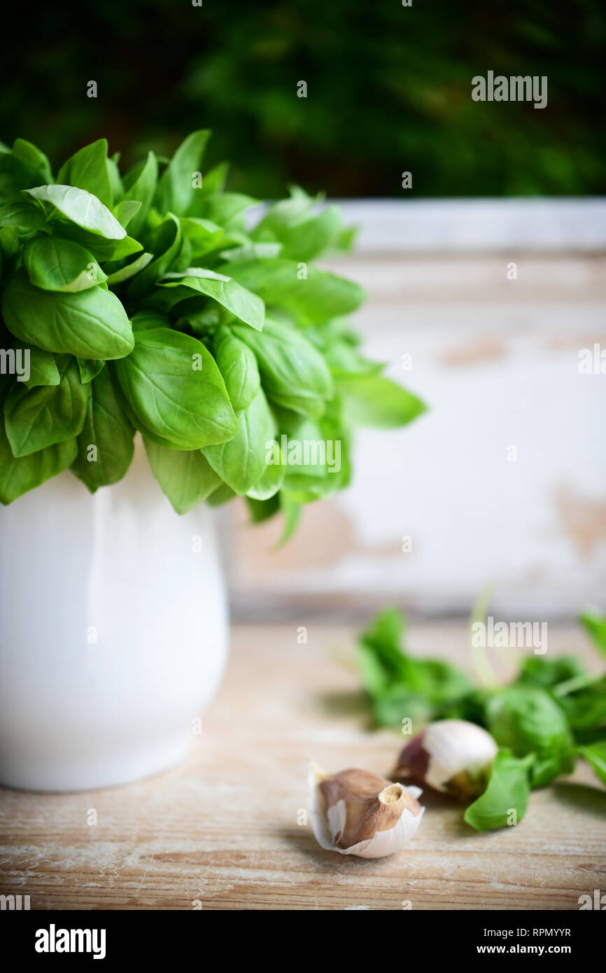 Un bouquet de basilic génois DOP frais dans une cruche avec quelques feuilles de basilic et l'ail sur la table Banque D'Images