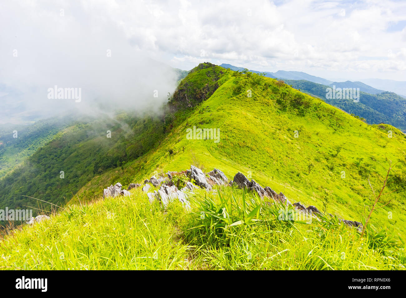 Belles montagnes vue paysage à Doi Pha Tang près de Chiang Rai, au nord de la Thaïlande Banque D'Images Belles montagnes vue paysage à Doi Pha Tang près de Chiang Rai, au nord de la Thaïlande Banque D'Images