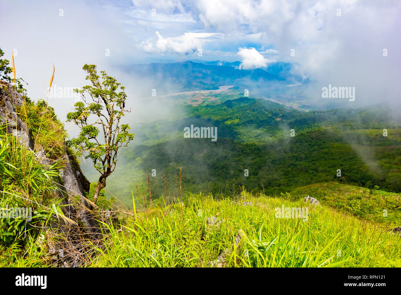 Belles montagnes vue paysage à Doi Pha Tang près de Chiang Rai, au nord de la Thaïlande Banque D'Images Belles montagnes vue paysage à Doi Pha Tang près de Chiang Rai, au nord de la Thaïlande Banque D'Images