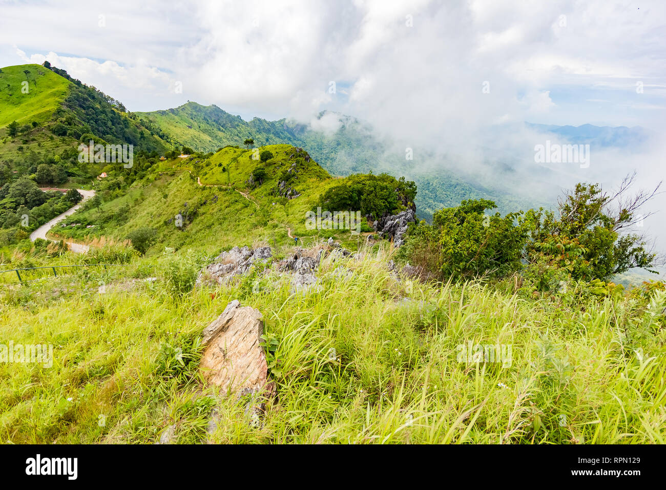 Belles montagnes vue paysage à Doi Pha Tang près de Chiang Rai, au nord de la Thaïlande Banque D'Images Belles montagnes vue paysage à Doi Pha Tang près de Chiang Rai, au nord de la Thaïlande Banque D'Images