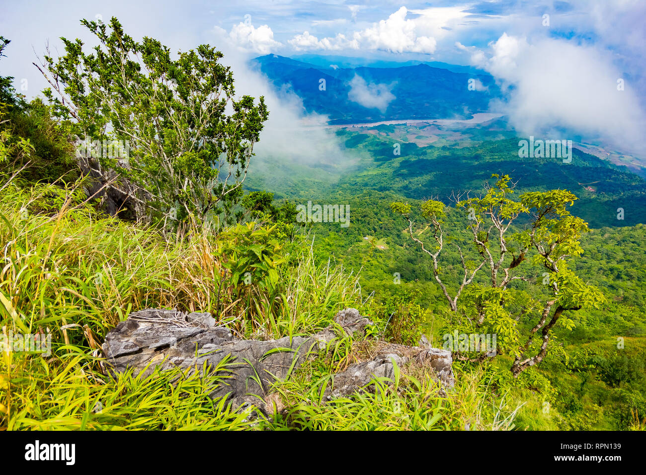 Belles montagnes vue paysage à Doi Pha Tang près de Chiang Rai, au nord de la Thaïlande Banque D'Images Belles montagnes vue paysage à Doi Pha Tang près de Chiang Rai, au nord de la Thaïlande Banque D'Images