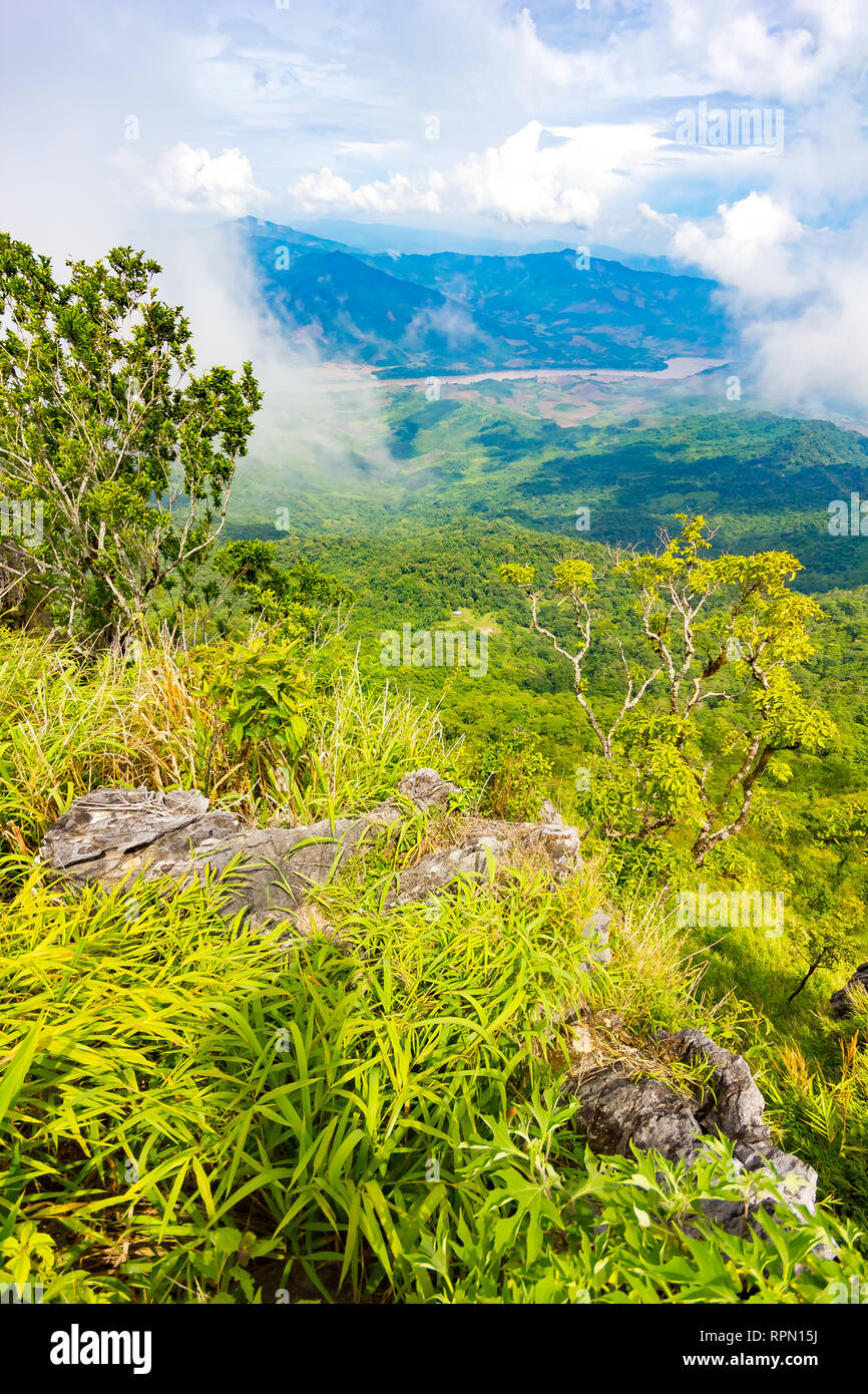Belles montagnes vue paysage à Doi Pha Tang près de Chiang Rai, au nord de la Thaïlande Banque D'Images Belles montagnes vue paysage à Doi Pha Tang près de Chiang Rai, au nord de la Thaïlande Banque D'Images