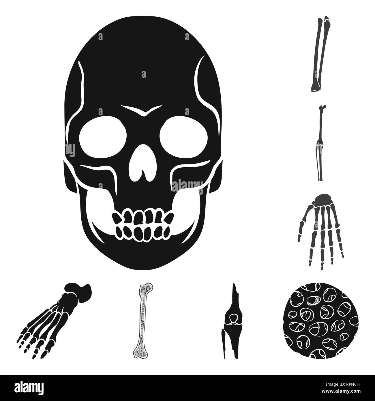 Illustration Vecteur de biologie médicale et de l'icône. Ensemble de la biologie et de skeleton symbole boursier pour le web. Illustration de Vecteur