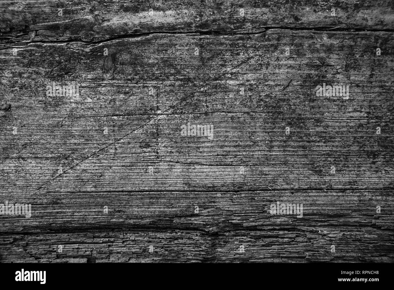 Texture background rayé wooden board Banque D'Images