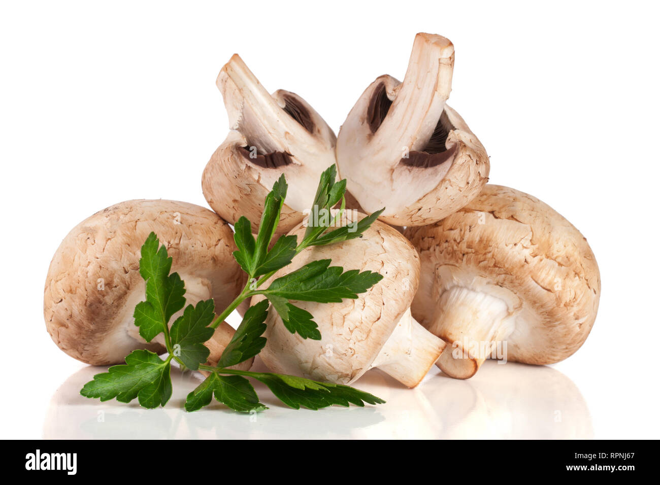 Un tas de champignon champignons au persil plat isolé sur fond blanc Banque D'Images