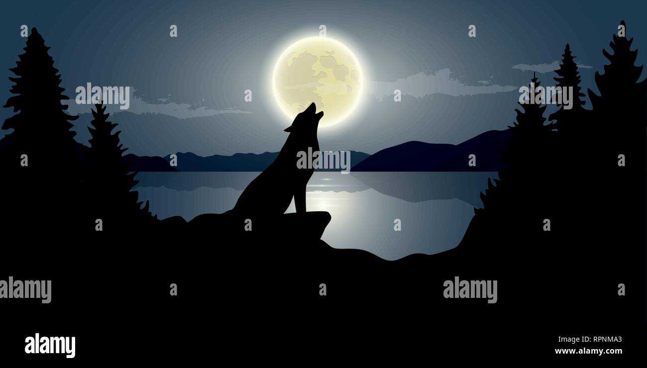 Le loup hurle à la pleine lune par le lac sombre nuit paysage nature faune illustration vecteur EPS10 Illustration de Vecteur