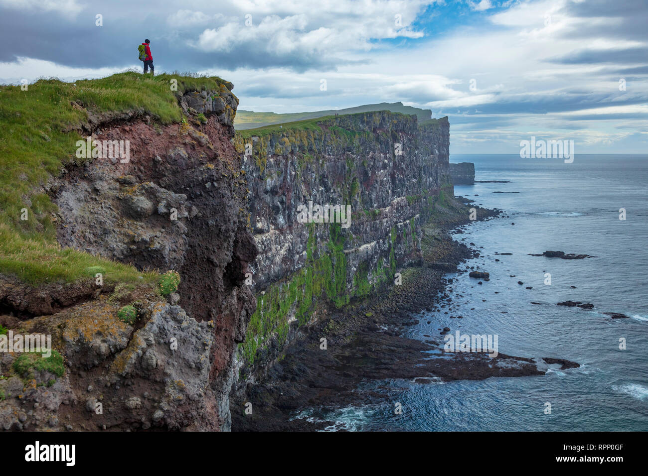 Personne au-dessus de l'oiseau Latrabjarg falaises. Latrabjarg Péninsule, Westfjords, Islande. Banque D'Images
