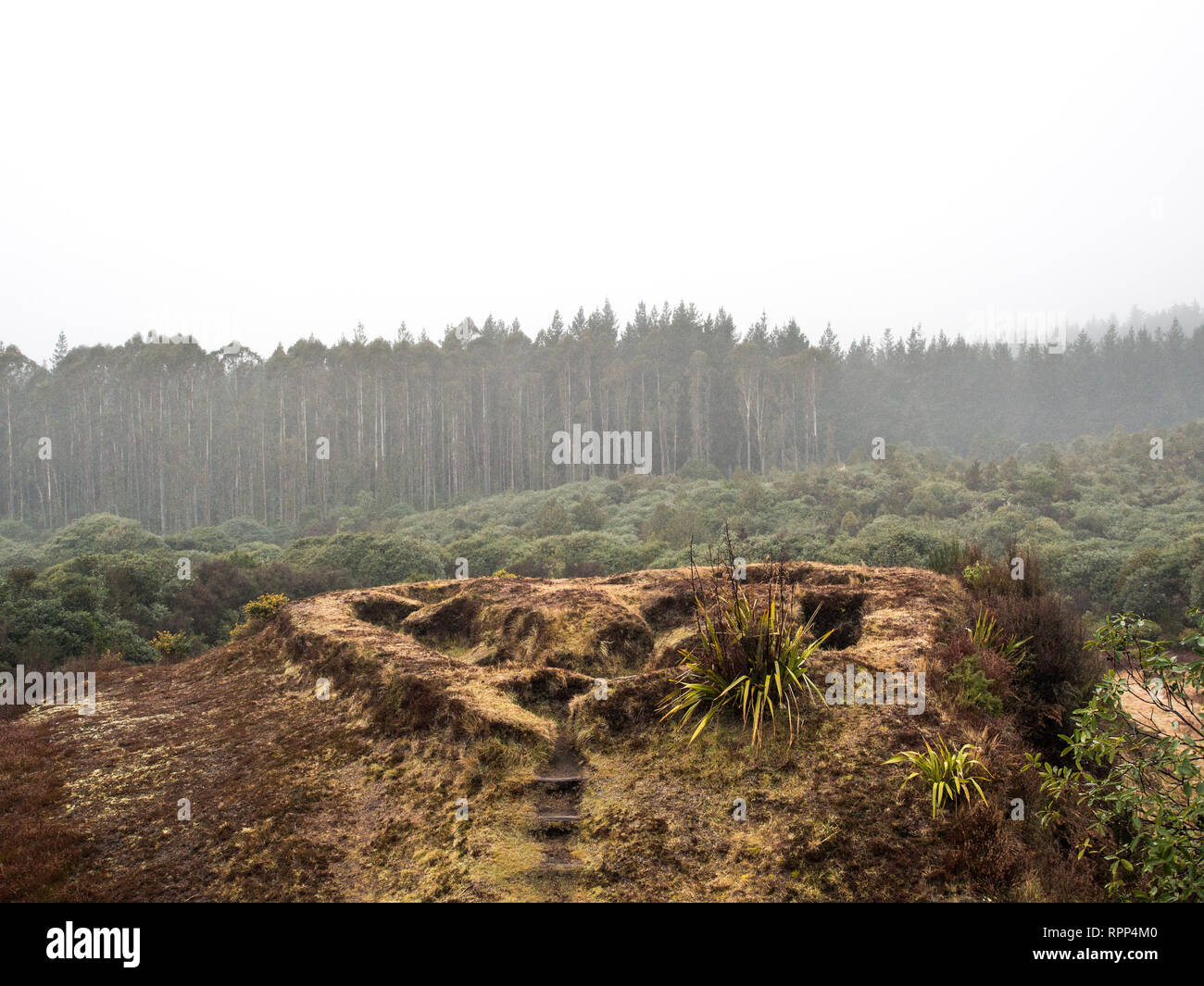 La redoute, un jour de pluie, Te Porere, Tongariro, Nouvelle-Zélande Banque D'Images