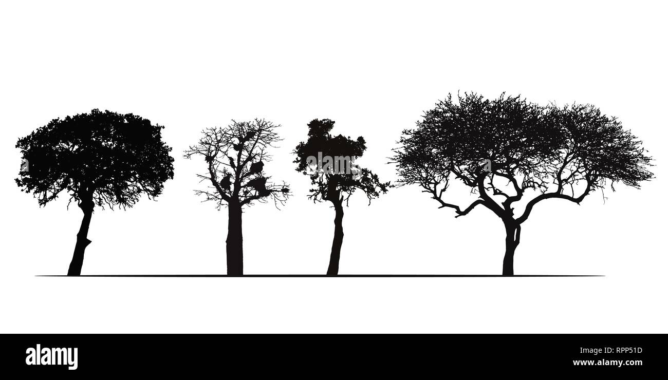 Jeu de silhouettes d'arbres africains, isolé sur fond blanc - vector Illustration de Vecteur