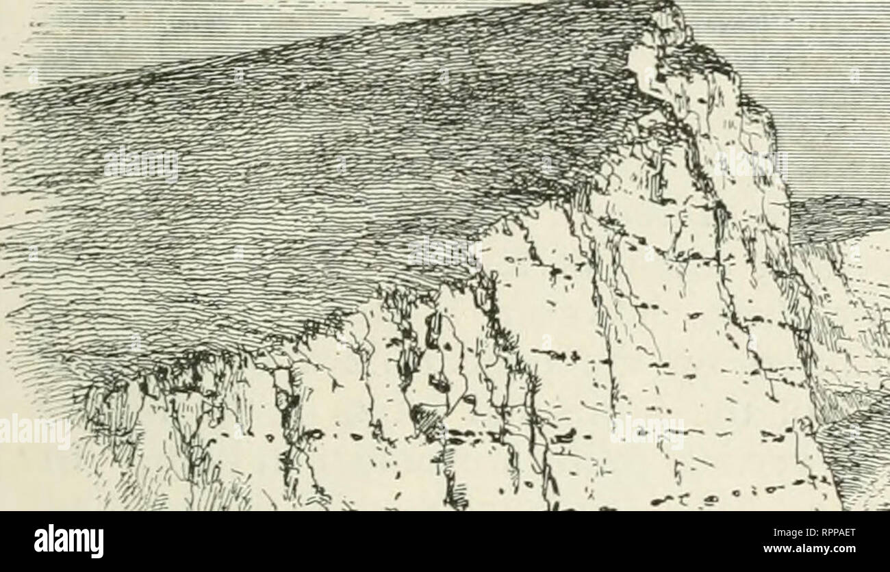 . Fleurs alpines pour jardins anglais. Les plantes de montagne ; jardinage de fleur. Partie I. ASPECTS GÉOLOGIQUES DE gainé cuir blanc. 93 partie d'un plan. Par conséquent, une catégorie particulière de la forme est le résultat pour chaque rocher de cette action purement mécanique de l'altération de l'agent. Dans le cas de quartzite, par exemple, la fracture est » conchoidal,'" ou en forme de coquille, concave et ondulée ; ce, à grande échelle, donne lieu à des crêtes avec certains côtés, creux- qu'avec des sillons bords dentelés. Cela peut servir d'exemple de l'altération simple sur un homo- Solutions, dur, et pratiquement insoluble rock. Voyons ce que Banque D'Images