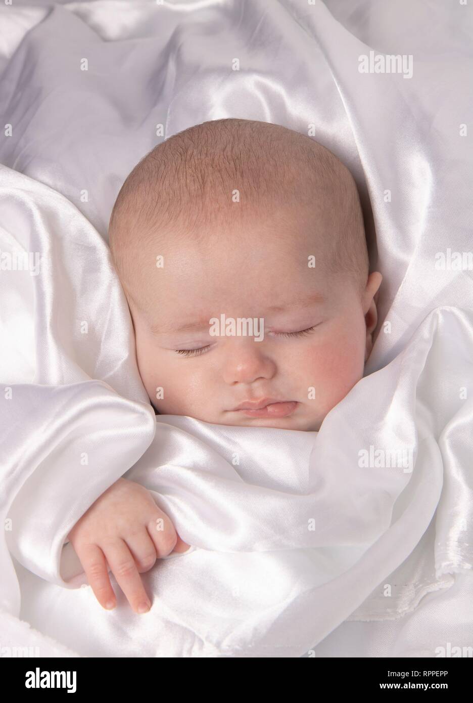 Sleeping baby boy, âgés de 7 semaines. Banque D'Images