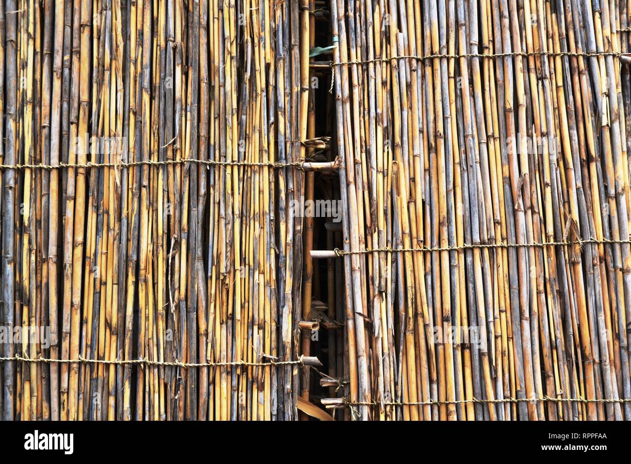 Les choses harmonieuses Banque D'Images