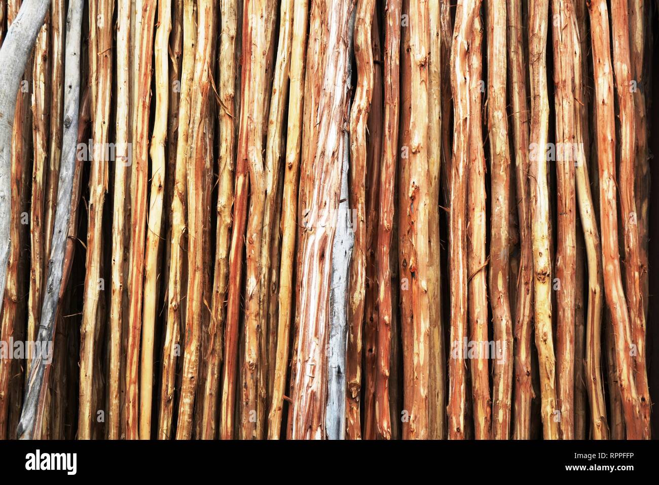 Les choses harmonieuses Banque D'Images