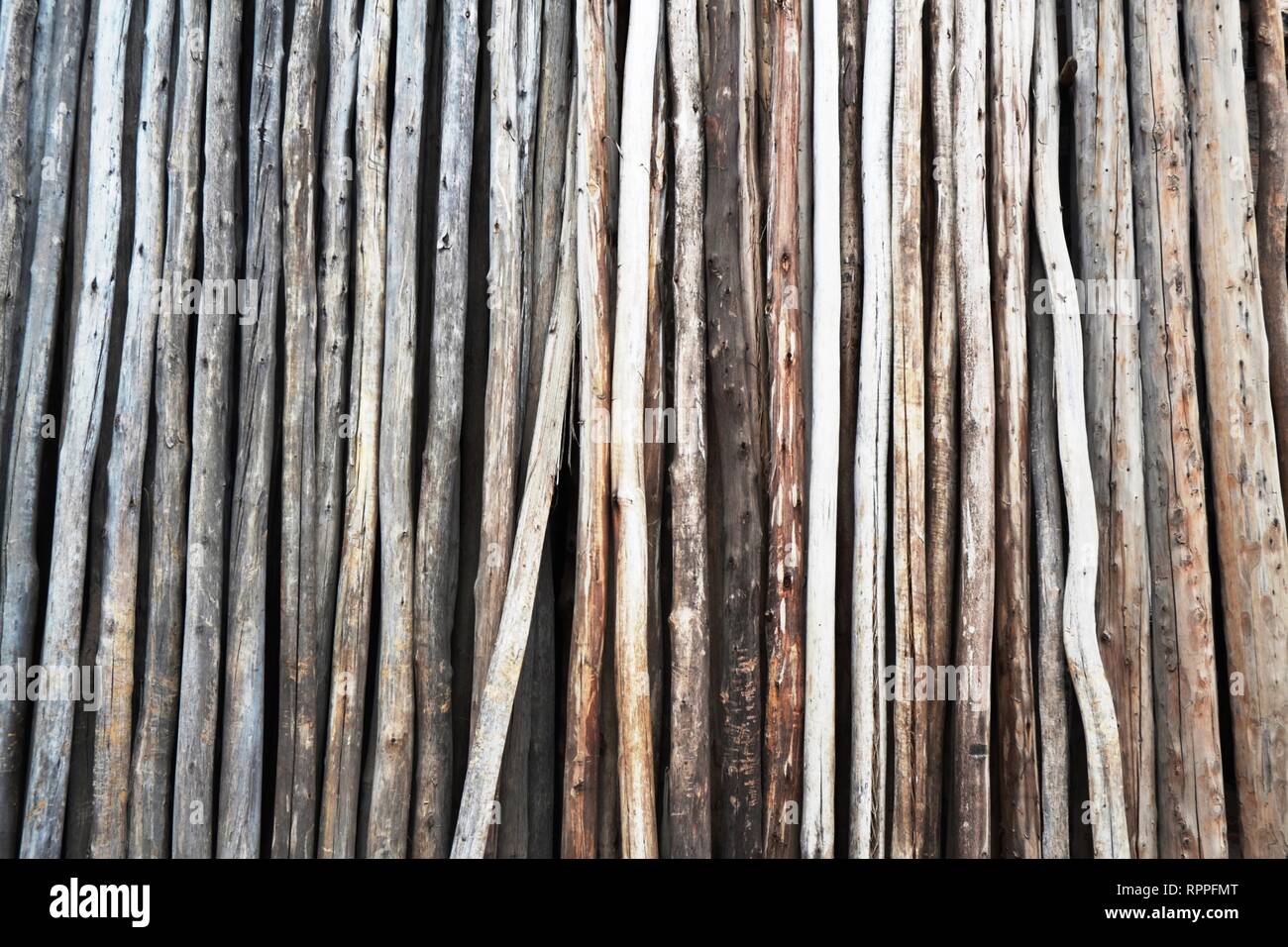 Les choses harmonieuses Banque D'Images