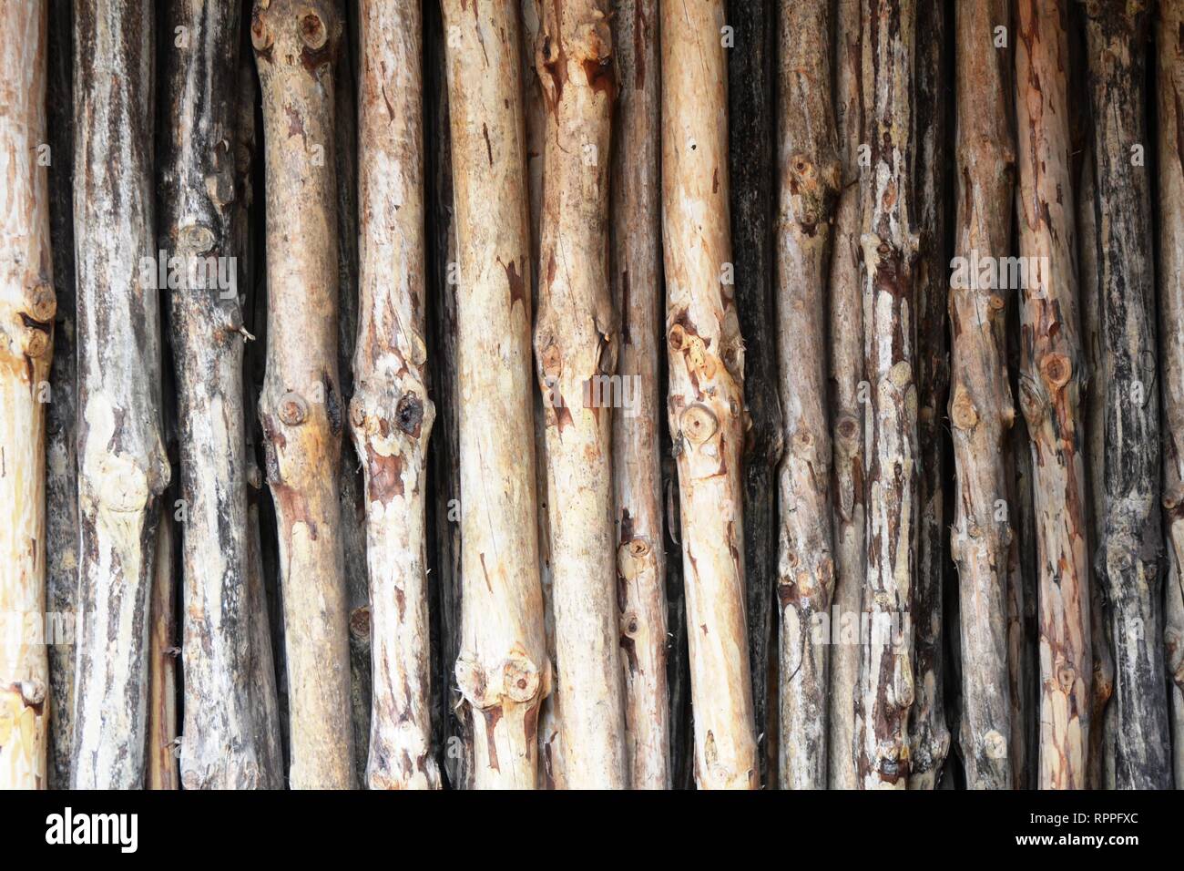 Les choses harmonieuses Banque D'Images