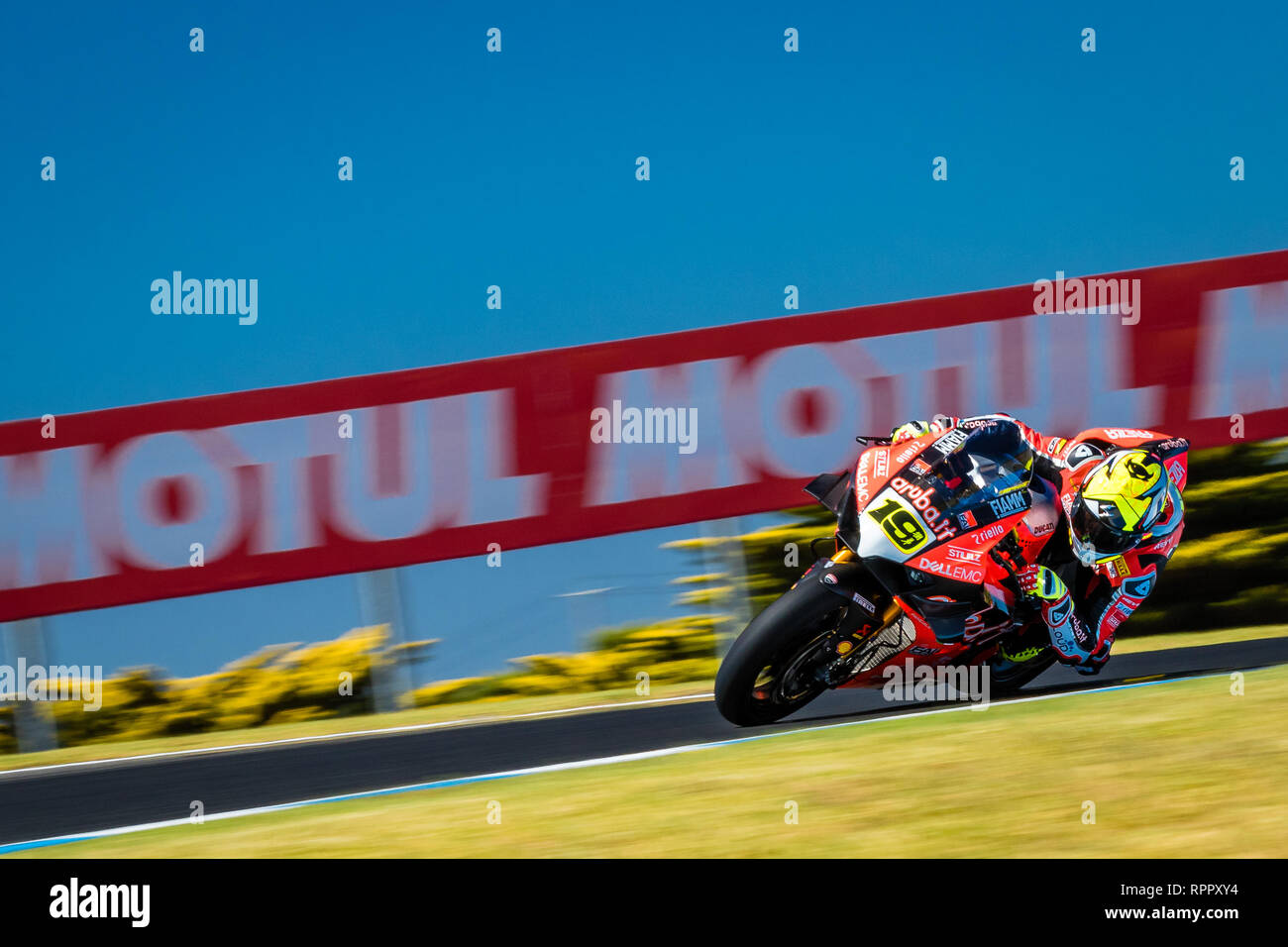 Melborune, Australie. 23 févr. 2019. Course 1 gagnant Álvaro Bautista 19 circonscription d'aruba.it Racing - Ducati au cours de la 2019 MOTUL Championnat du Monde FIM Superbike à Phillip Island, en Australie le 23 février 2019. Crédit : Dave Hewison Sports/Alamy Live News Banque D'Images