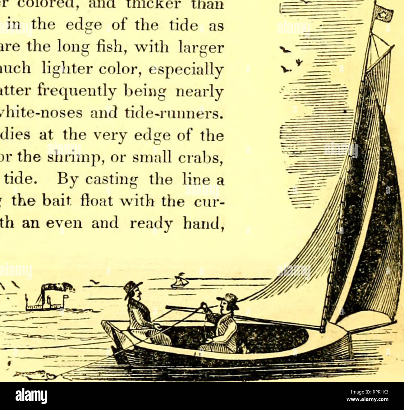 . American guide du pêcheur : ou, complète le manuel de Fisher, pour les États-Unis : contenant les opinions et les pratiques des pêcheurs expérimentés des deux hémisphères ; avec l'ajout d'une deuxième partie.. La pêche. Le poisson noir. 181 un thème à défaut de divertissement à ceux qui sont en- gaged dans ce genre d'aventure. Si la ligne est généralement utilisé, la tige est parfois employé à grande annonce- vantage. Le poisson noir est remarquable pour le maintien de la vie un long moment après qu'il est mis hors de l'eau. Il nage parfois même sur terre, et est pris dans sennes." Un observateur New-York ama Banque D'Images