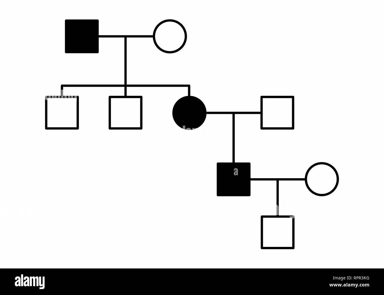 L'illustration d'une famille simple schéma sur fond blanc Illustration de Vecteur
