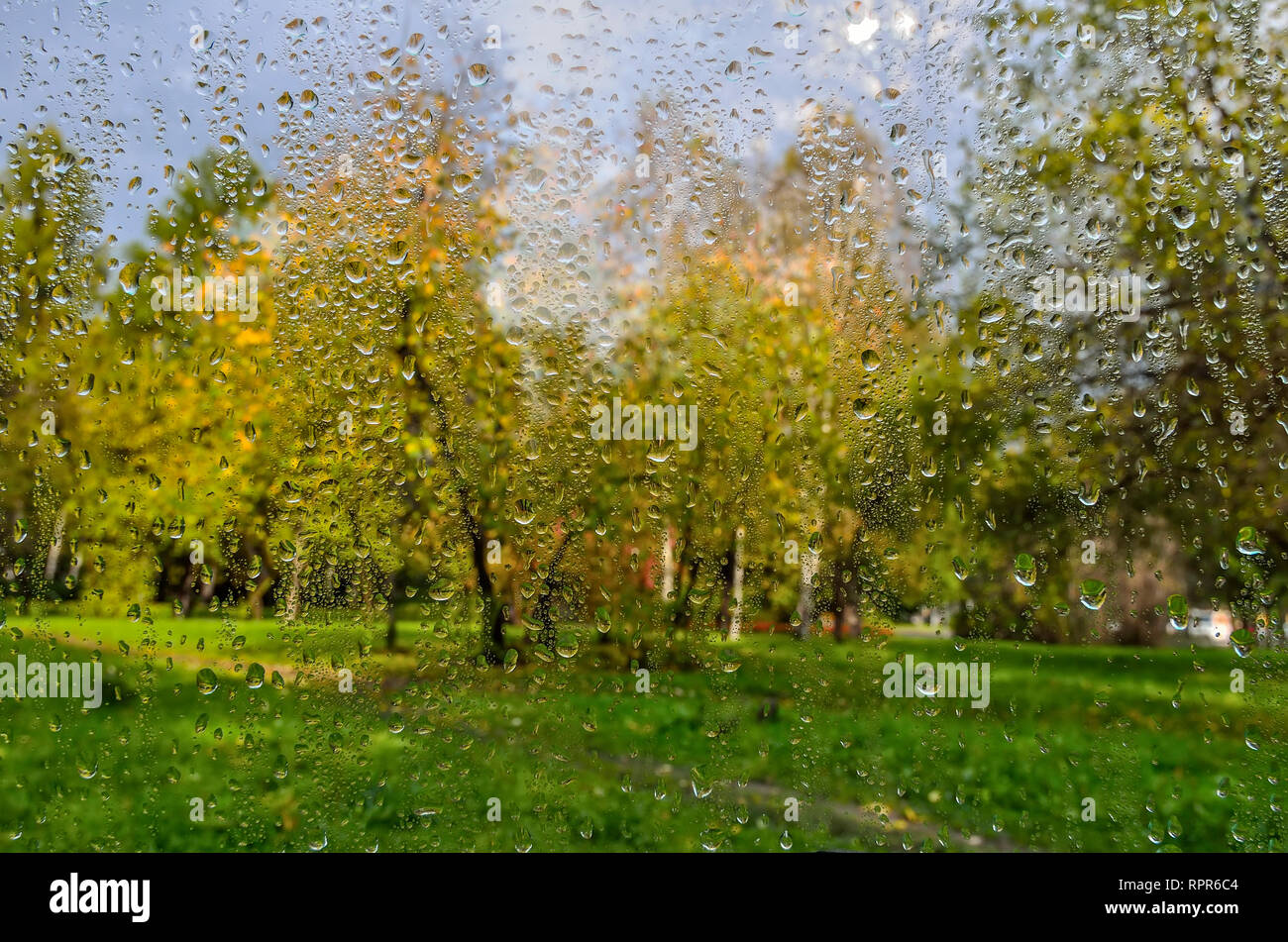 Les chambres lumineuses et colorées de l'automne paysage flou dans city park avec le feuillage humide après la pluie à travers la fenêtre en verre humide avec la pluie. Temps d'automne et des pluies Banque D'Images