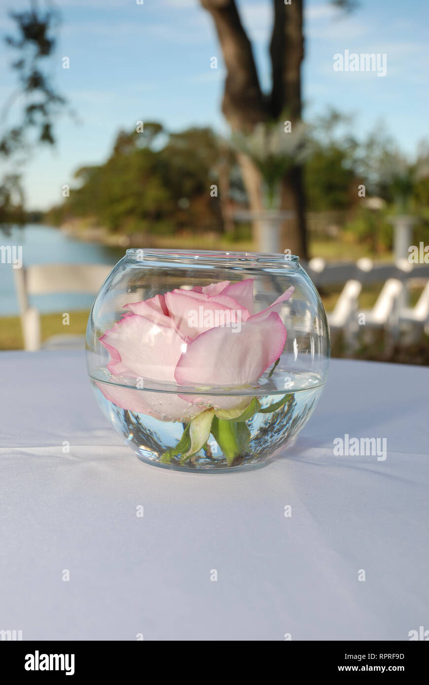 La Nouvelle-Orléans, Louisiane, Etats-Unis. 14 mars, 2012. Une rose rose offre un décor de table pour une petite réception de mariage. Banque D'Images