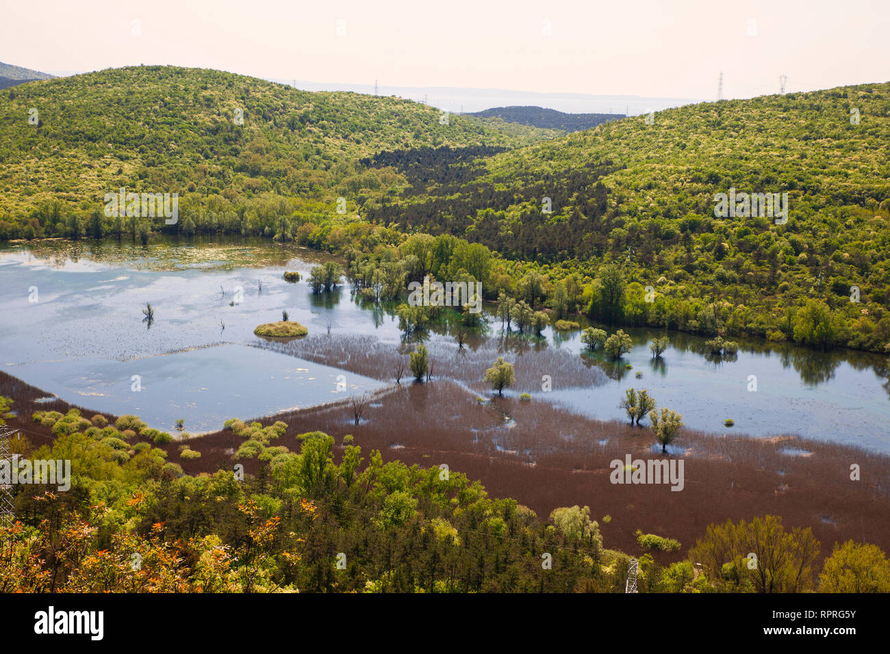 Vue de dessus du lac karstique Doberdò del Lago, Italie Banque D'Images