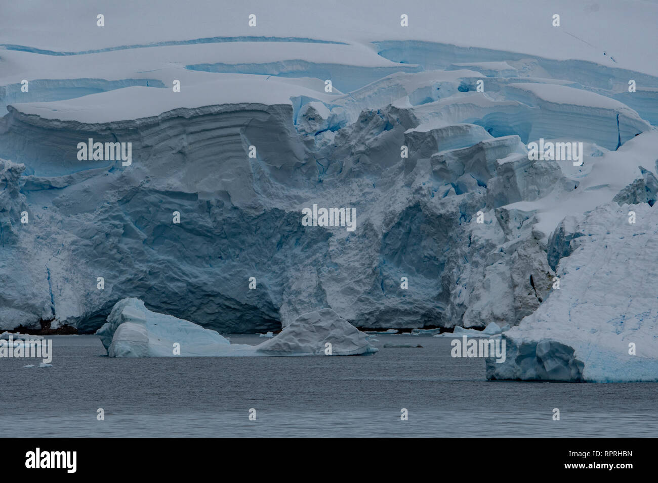 Vêlage glaciaire, Charlotte Harbor, Péninsule Antarctique Banque D'Images