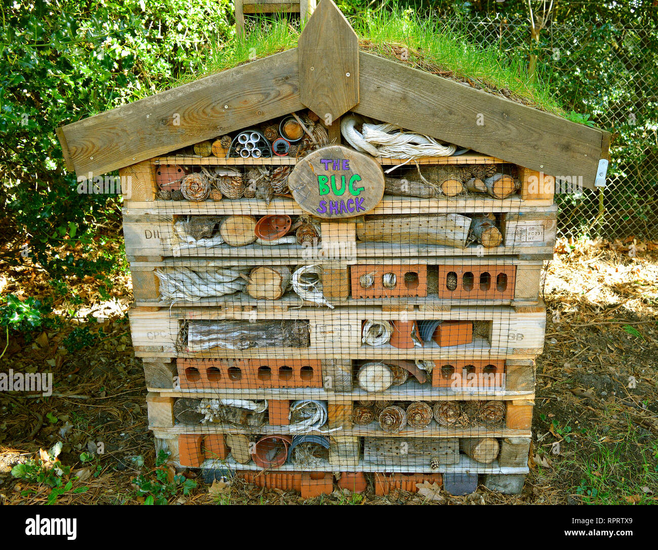 Bug shack un structure artificielle créée pour fournir un abri pour les insectes Banque D'Images