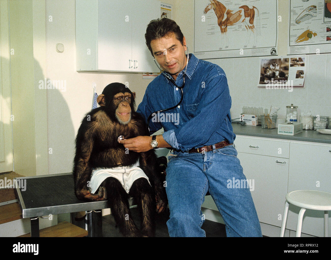 UNSER CHARLY / Kleiner Affe - grosse Liebe D 1995 / Dr. Martin (RALPH SCHICHA) und sein neuer Patient, ein kleiner Schimpanse. / Überschrift : UNSER CHARLY / D 1995 Banque D'Images