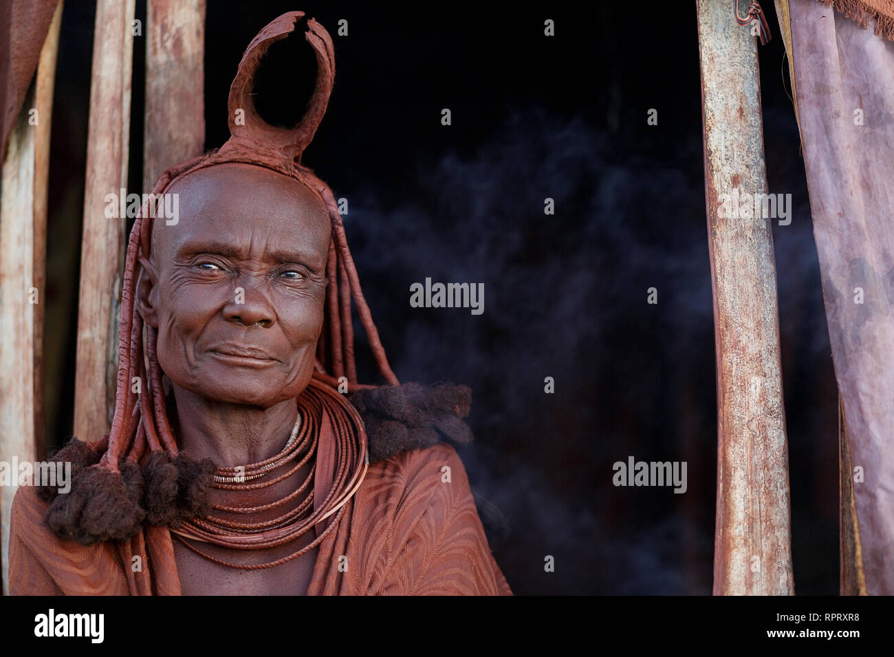 Portrait de femme Himba traditionnel avec coiffure, Kaokoland, Namibie Banque D'Images