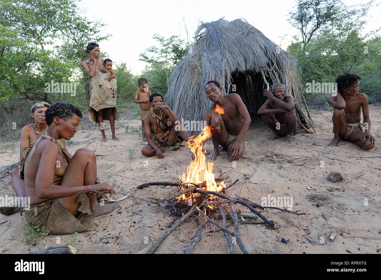 Les San Bushmen de chanter et danser des danses traditionnelles autour du feu en face de la hutte, Kalahari, Namibie, Afrique du Sud Banque D'Images