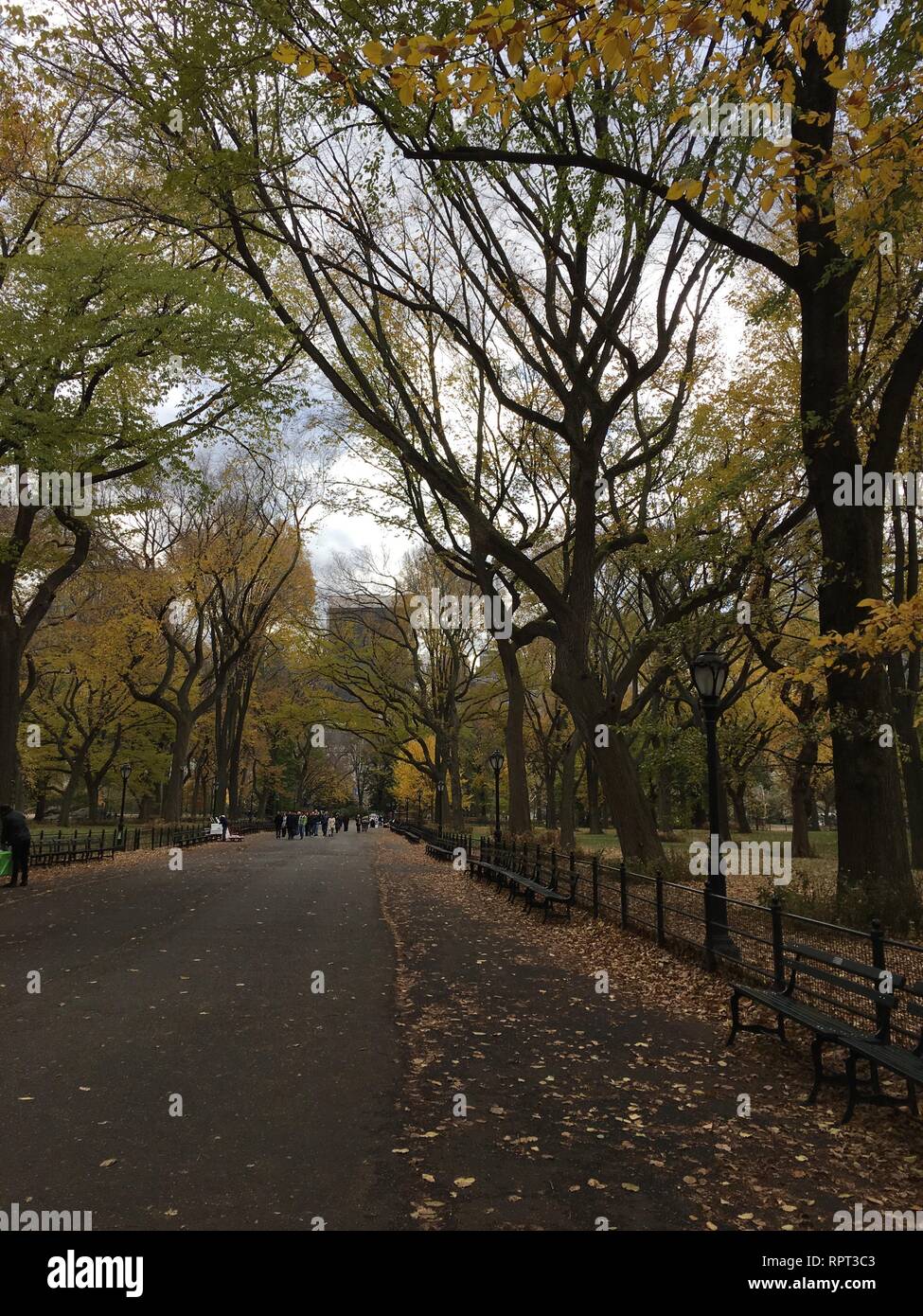 New York City, New York, USA. Nov 18, 2017. Central Park en automne. Banque D'Images