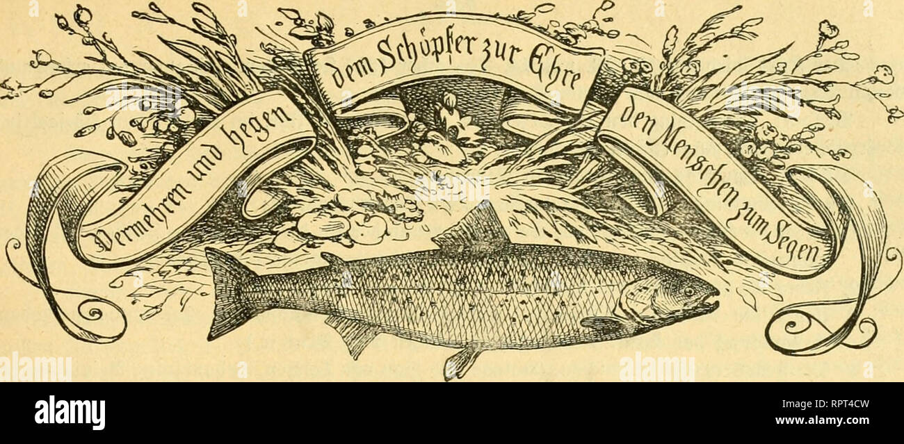 Allgemeine Fischerei Zeitung Ssseue Ungemeine Otge Ifdjeret Ber Sauer Fleuve Itung Srfdjetnt Suis L Unb Ib Jeben Jjonat 3 Ret Int 8 Oefterreido Unb Lanb Ungarn B 3jlf Le