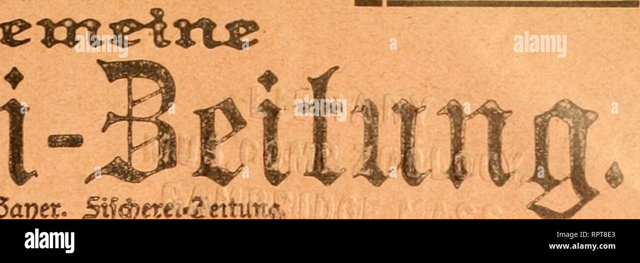 Allgemeine Fischerei Zeitung Gibt Ob Sa Uaiififiarpfen
