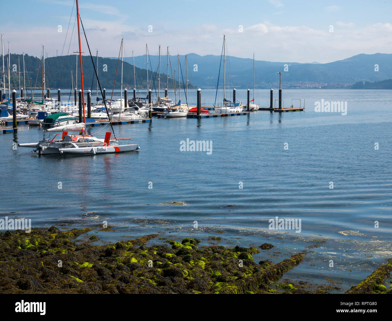 Puerto de San Adrián en la Ría de Vigo. Pontevedra. La Galice. España Banque D'Images