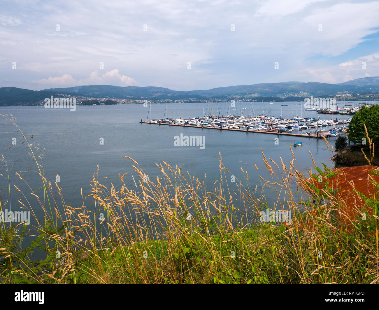 Puerto de San Adrián en la Ría de Vigo. Pontevedra. La Galice. España Banque D'Images