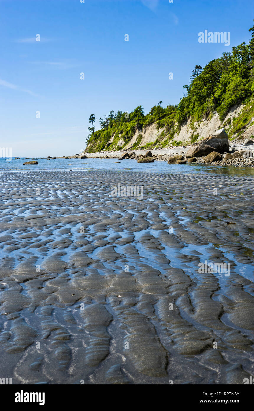 La plage de rochers et de port au point Whitehorn Réserve marine dans Whatcom County, Washington, USA. Banque D'Images