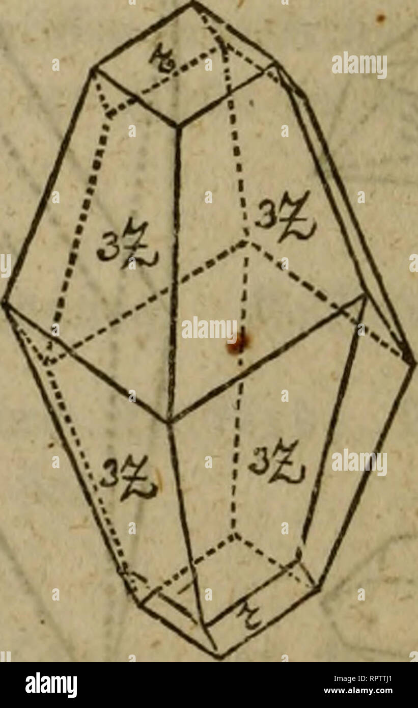 . Allgemeine Naturgeschichte für alle Stände. L'histoire naturelle. . Veuillez noter que ces images sont extraites de la page numérisée des images qui peuvent avoir été retouchées numériquement pour plus de lisibilité - coloration et l'aspect de ces illustrations ne peut pas parfaitement ressembler à l'œuvre originale.. Oken, Lorenz, 1779-1851 ; Walchner, Friedrich August, 1799-1865 ; Tippmann Collection (North Carolina State University). Dnd. Stuttgart : Hoffmann'sche Verlags-Buchhandlung Banque D'Images