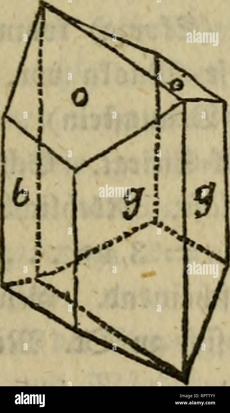 . Allgemeine Naturgeschichte für alle Stände. L'histoire naturelle. . Veuillez noter que ces images sont extraites de la page numérisée des images qui peuvent avoir été retouchées numériquement pour plus de lisibilité - coloration et l'aspect de ces illustrations ne peut pas parfaitement ressembler à l'œuvre originale.. Oken, Lorenz, 1779-1851 ; Walchner, Friedrich August, 1799-1865 ; Tippmann Collection (North Carolina State University). Dnd. Stuttgart : Hoffmann'sche Verlags-Buchhandlung Banque D'Images