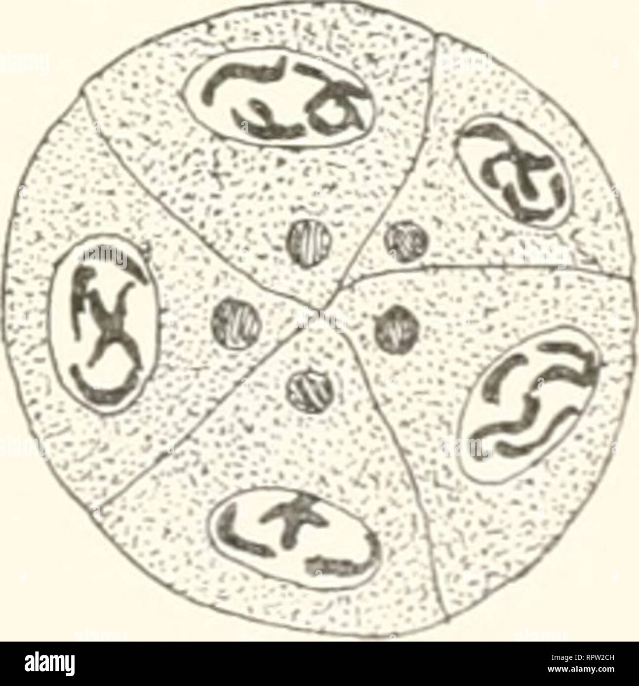 Trennung 7 Banque D Image Et Photos Alamy