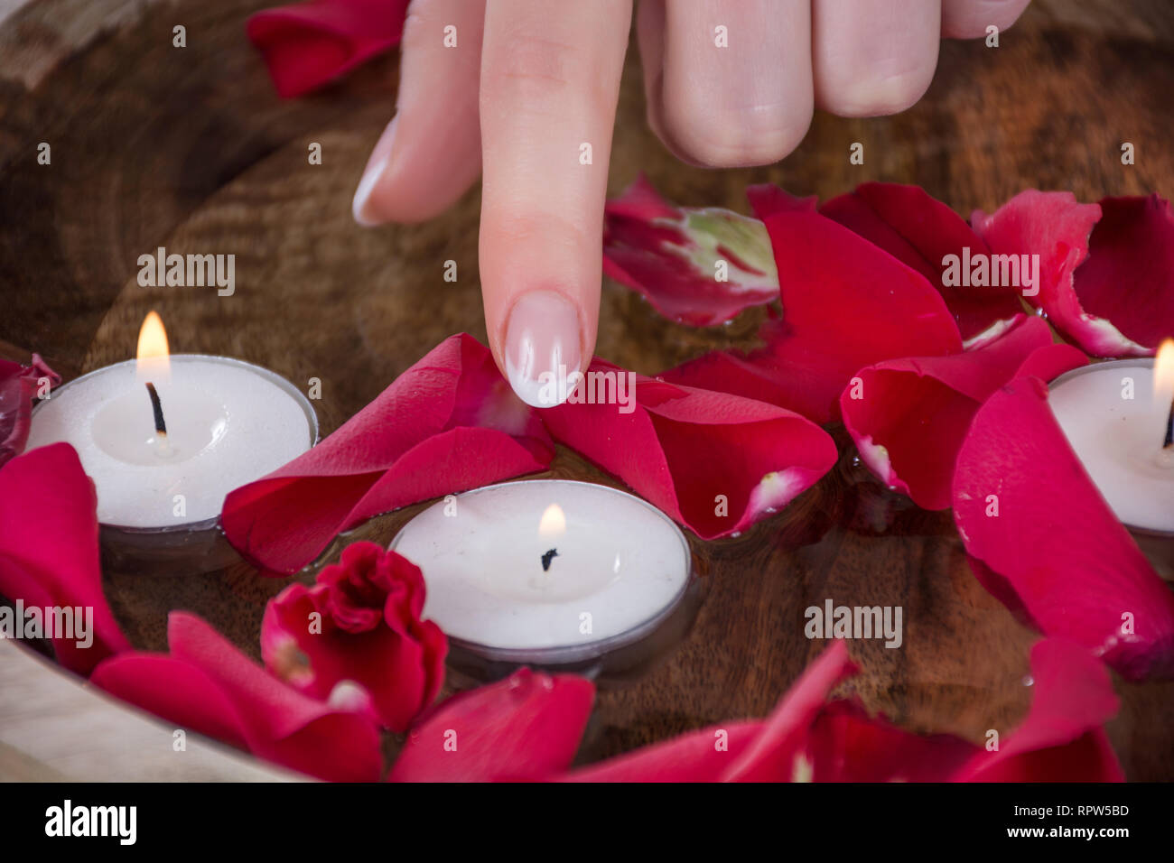 Femme avec des ongles de doigt français polonais touch style bougie dans un  bol avec de l'eau et de pétales de rose rouge. Manucure beauté et concept.  Close up Photo Stock -