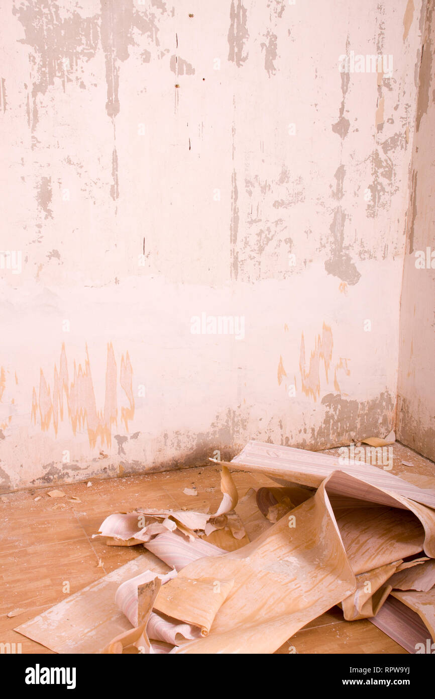Ancienne chambre sale avec papier peint déchiré sur le sol. Grunge vintage interior Banque D'Images