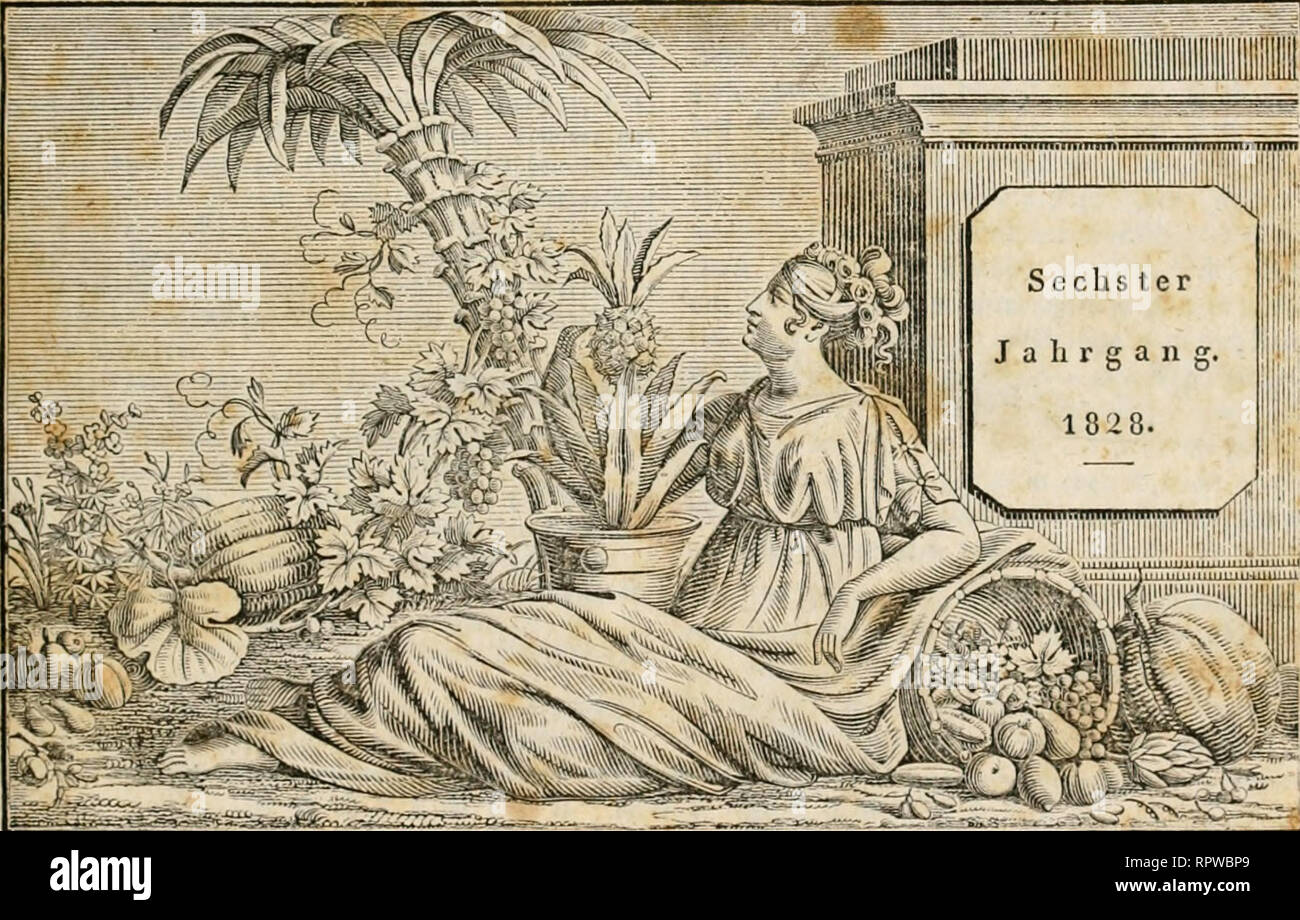 Passau N A Banque D Image Et Photos Alamy