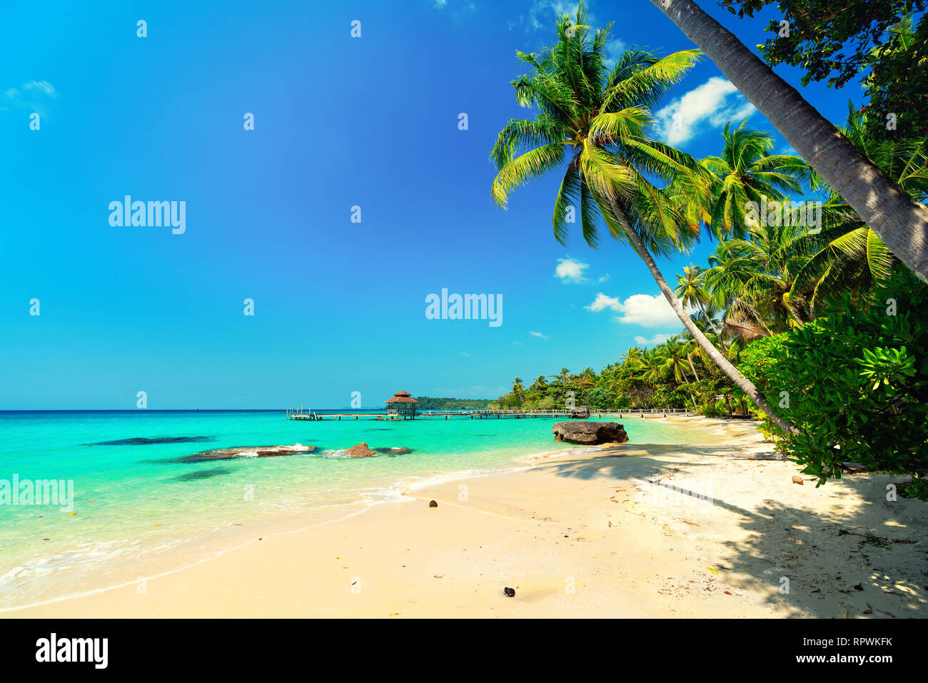 Nature paysage tropical beach Thaïlande avec décor palmier, clair comme de l'eau de mer à sunny day Banque D'Images