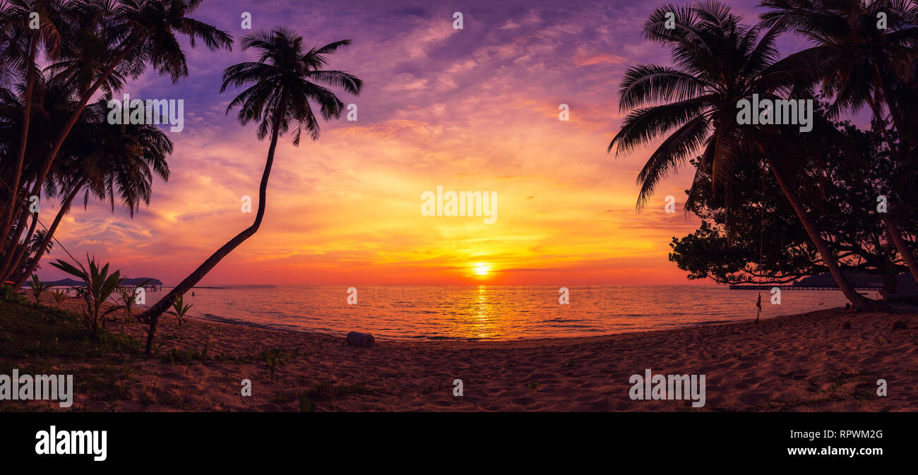 Nature Paysage paysages plage tropicale avec palmiers sur fond de ciel coloré au coucher du soleil Banque D'Images